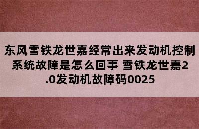 东风雪铁龙世嘉经常出来发动机控制系统故障是怎么回事 雪铁龙世嘉2.0发动机故障码0025